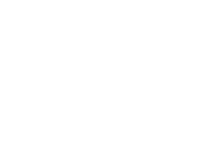 cnes
